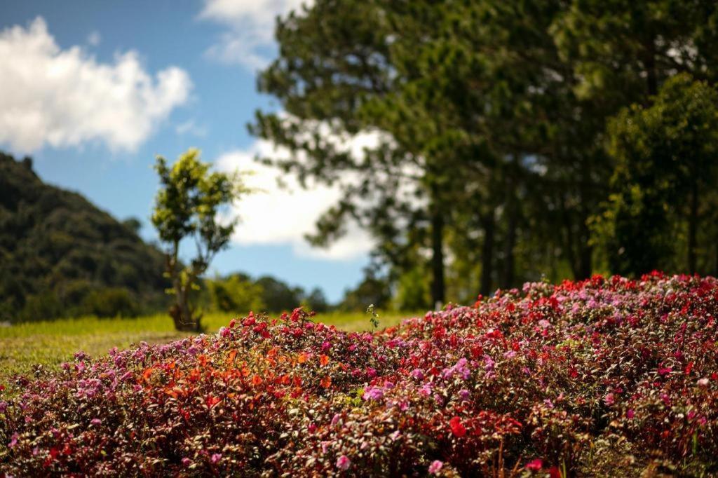 Sam Tuyen Lam Resort Da Lat Esterno foto